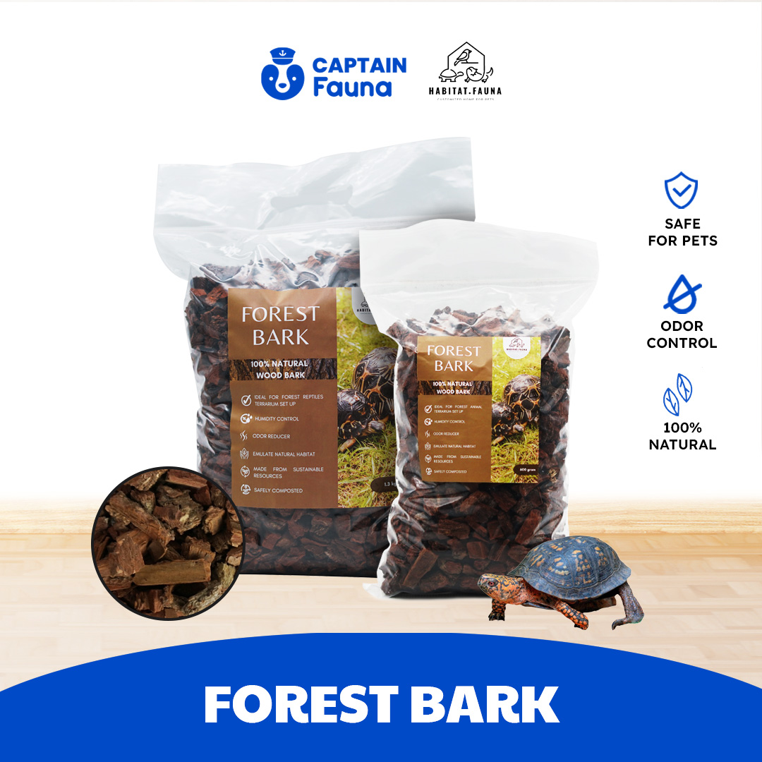 Alas Kandang Reptil Kura Forest Bark Habitat Fauna Natural